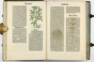 Hortus Sanitatis.