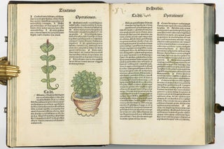 Hortus Sanitatis.