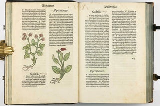 Hortus Sanitatis.
