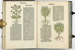 Hortus Sanitatis.