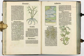 Hortus Sanitatis.