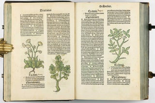 Hortus Sanitatis.