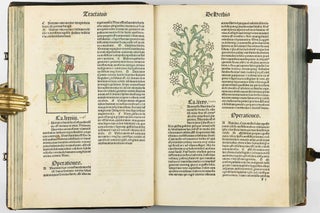 Hortus Sanitatis.