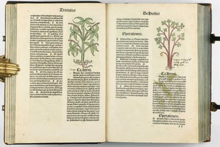 Hortus Sanitatis.