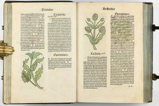 Hortus Sanitatis.