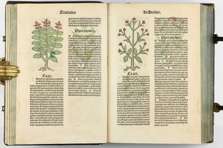 Hortus Sanitatis.