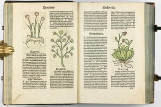 Hortus Sanitatis.