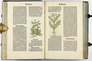 Hortus Sanitatis.