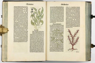 Hortus Sanitatis.