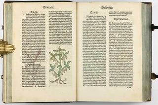 Hortus Sanitatis.