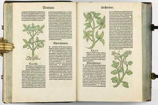 Hortus Sanitatis.