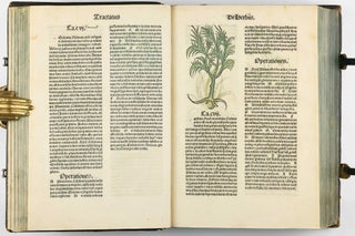 Hortus Sanitatis.