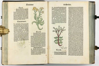 Hortus Sanitatis.