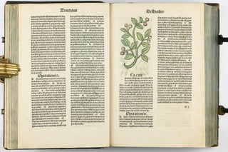 Hortus Sanitatis.