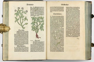 Hortus Sanitatis.
