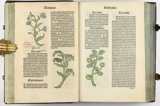 Hortus Sanitatis.