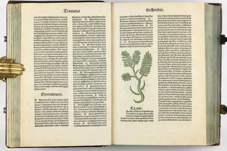 Hortus Sanitatis.