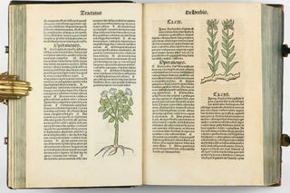 Hortus Sanitatis.