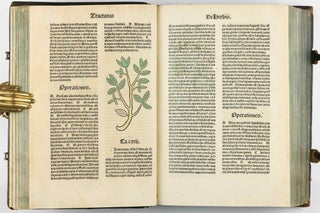 Hortus Sanitatis.