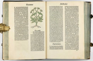 Hortus Sanitatis.