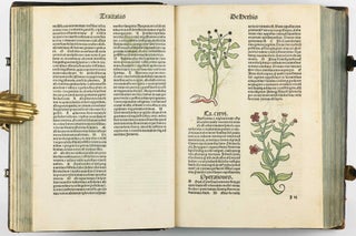 Hortus Sanitatis.