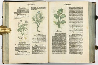 Hortus Sanitatis.