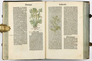 Hortus Sanitatis.