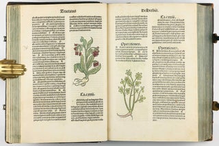Hortus Sanitatis.