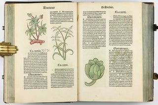 Hortus Sanitatis.