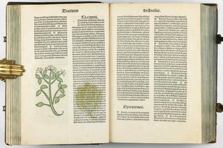 Hortus Sanitatis.