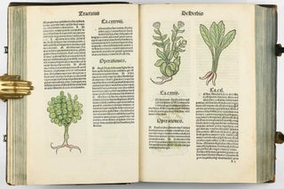 Hortus Sanitatis.