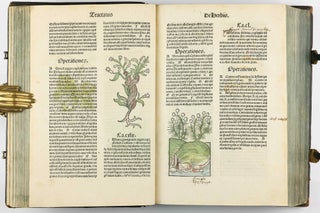 Hortus Sanitatis.