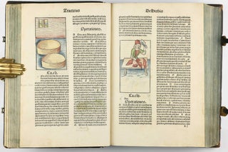 Hortus Sanitatis.