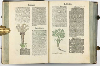 Hortus Sanitatis.