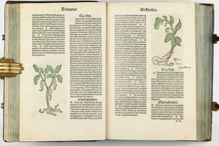 Hortus Sanitatis.