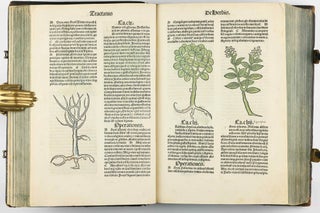 Hortus Sanitatis.