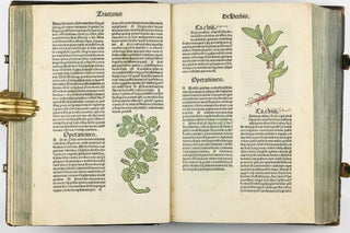 Hortus Sanitatis.