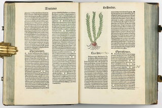 Hortus Sanitatis.