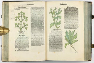 Hortus Sanitatis.