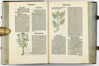 Hortus Sanitatis.