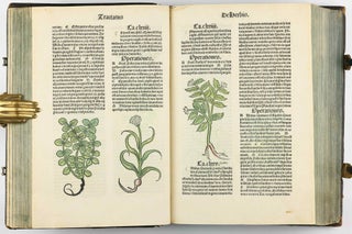 Hortus Sanitatis.