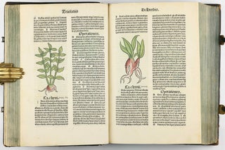 Hortus Sanitatis.