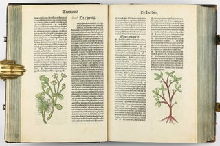 Hortus Sanitatis.