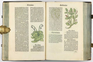 Hortus Sanitatis.