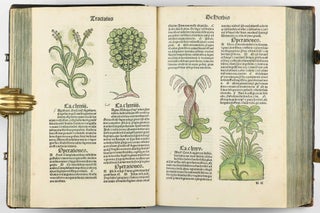Hortus Sanitatis.