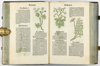 Hortus Sanitatis.