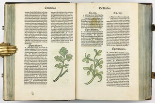 Hortus Sanitatis.