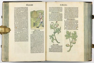 Hortus Sanitatis.
