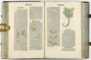 Hortus Sanitatis.