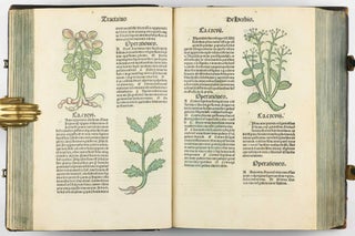 Hortus Sanitatis.